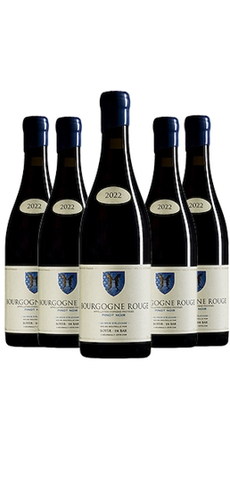Bourgogne Rouge Pinot Noir 10+2